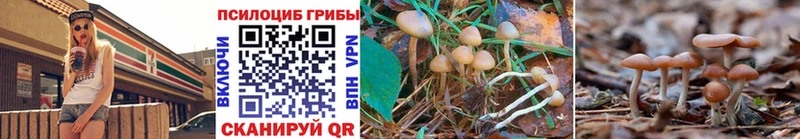дарк нет какой сайт  Сегежа  Галлюциногенные грибы GOLDEN TEACHER 
